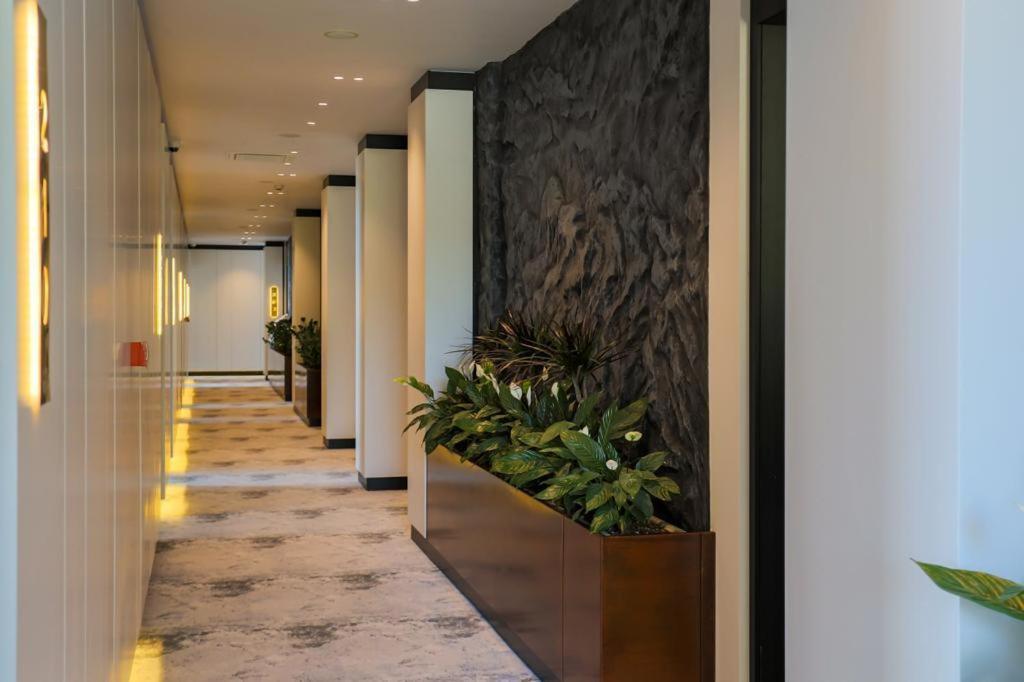 דרמי Nassau Hotel מראה חיצוני תמונה